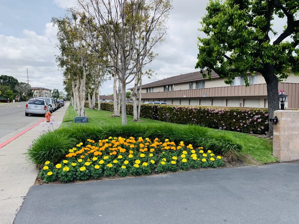 Top-rated yard maintenance experts serving Newport Beach, CA - Galindo’s Landscaping & Gardening