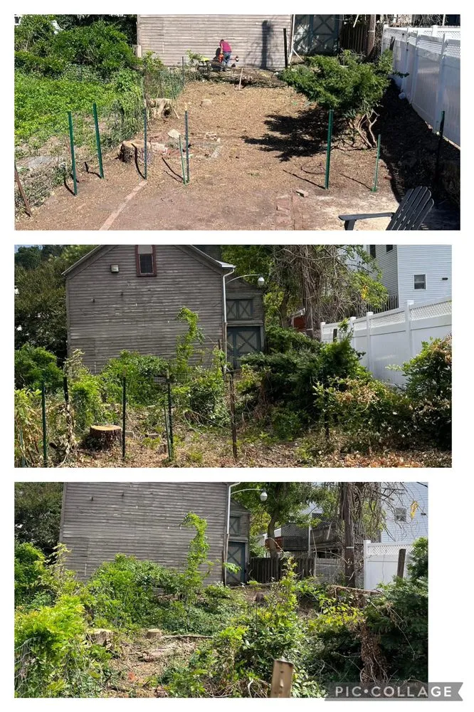 Local landscaping services experts serving New Hope, PA - Galindo’s Landscaping