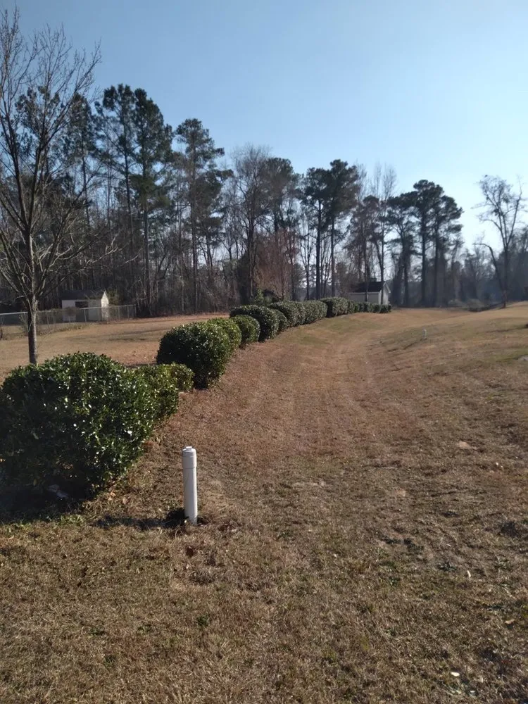 Local landscape design for year-round maintenance across New Hope, PA - Galindo’s Landscaping