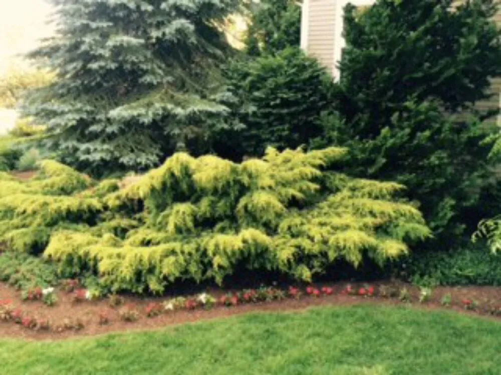 Custom lawn care service in Natick, MA - Gallagher Landscaping