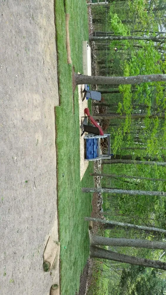 Professional landscape design in Natick, MA - Gallagher Landscaping