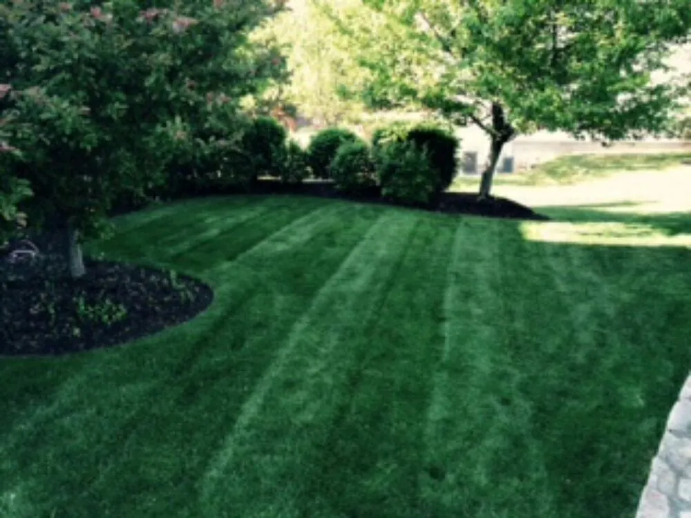 Custom yard cleanup service experts serving Natick, MA - Gallagher Landscaping
