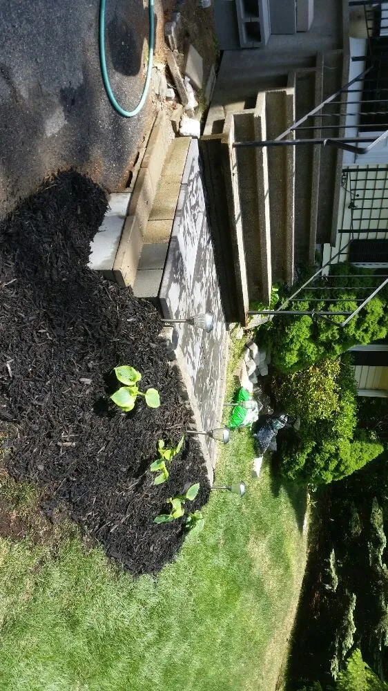 Professional lawn care service with custom design across Natick, MA - Gallagher Landscaping