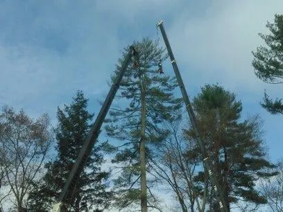 Affordable residential landscaping for outdoor upgrades across Cornish, NH - Gallagher Tree Service