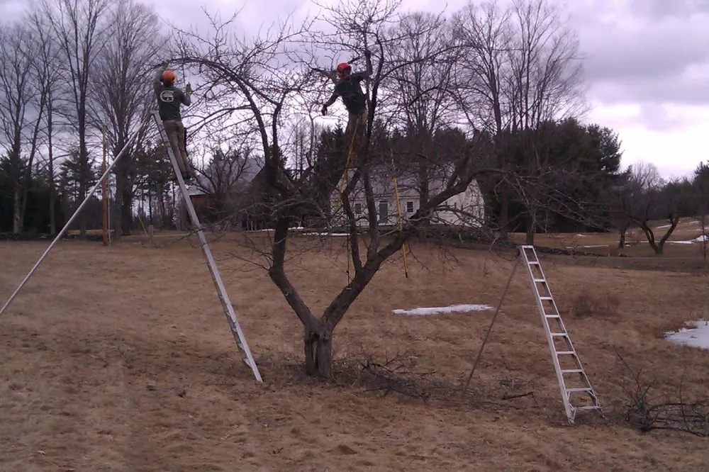 Affordable landscaping services experts serving Cornish, NH - Gallagher Tree Service