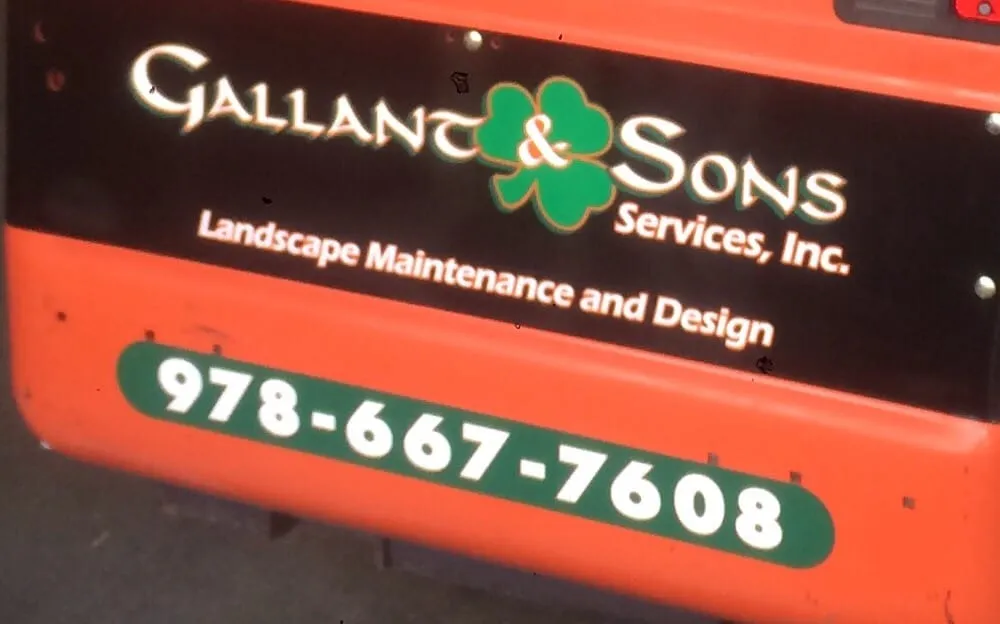 Affordable yard cleanup service in Billerica, MA - Gallant & Son Services