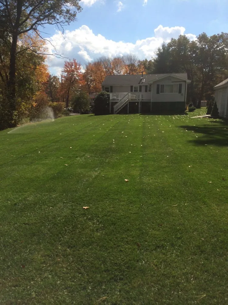 Trusted lawn care service in Billerica, MA by Gallant & Son Services
