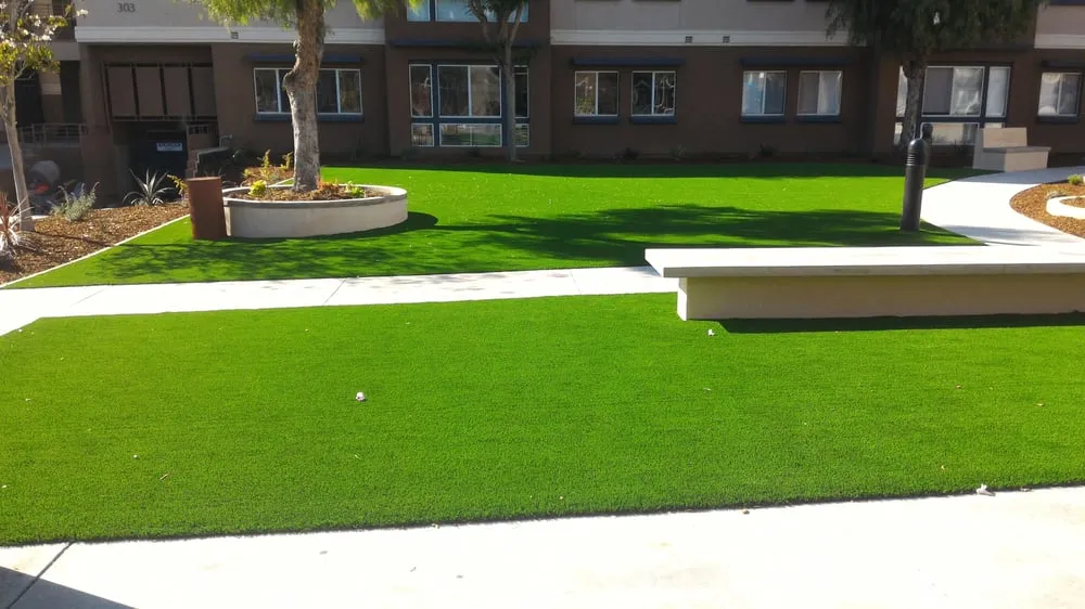 Professional landscape design in San Marcos, CA by Gallardo Landscape