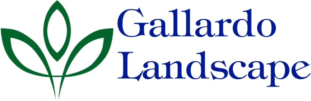 Expert outdoor landscaping with custom design across San Marcos, CA - Gallardo Landscape