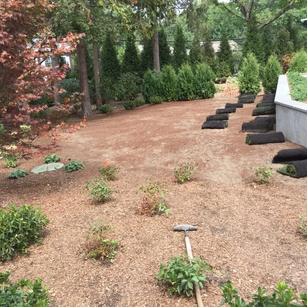 Affordable yard maintenance in Port Chester, NY by Gallardo Landscaping