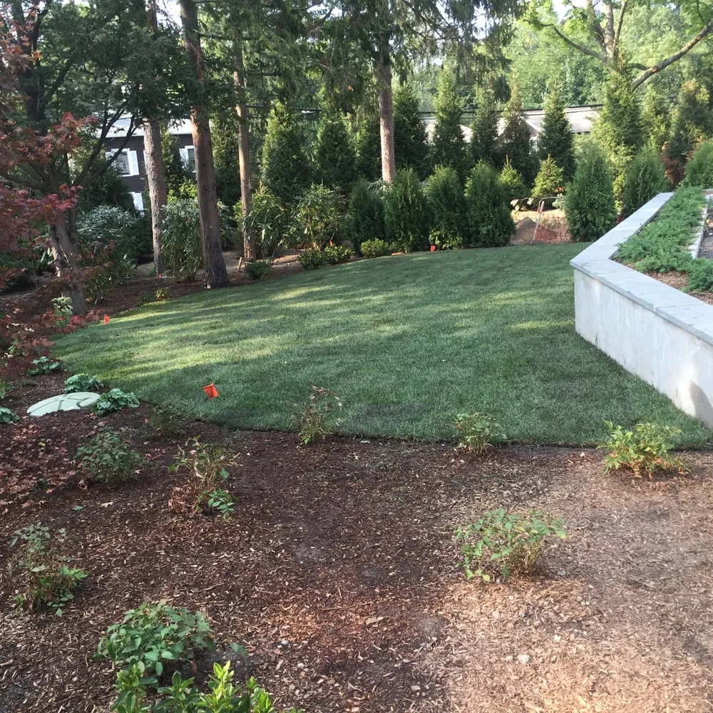 Professional yard cleanup service for homes in Port Chester, NY by Gallardo Landscaping