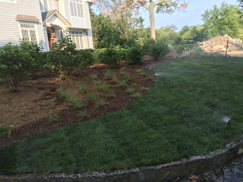 Professional yard maintenance in Port Chester, NY by Gallardo Landscaping