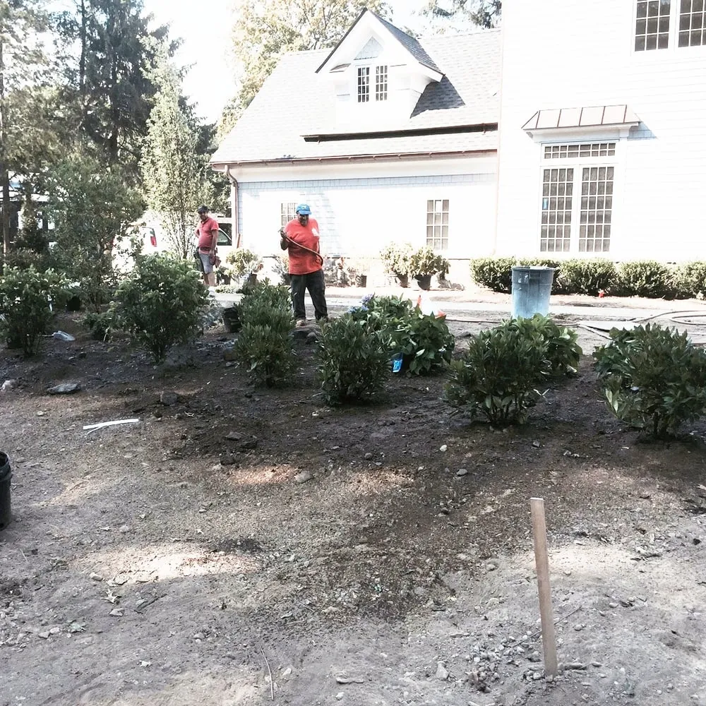 Affordable yard maintenance for residential properties in Port Chester, NY by Gallardo Landscaping