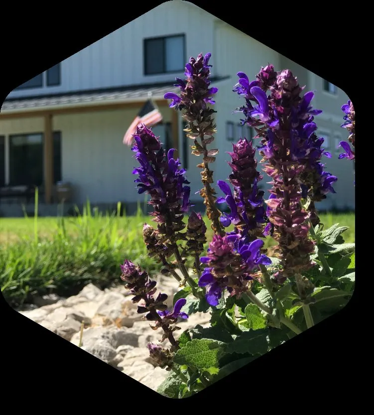 Expert yard maintenance in Belgrade, MT - Gallatin Valley Site Services