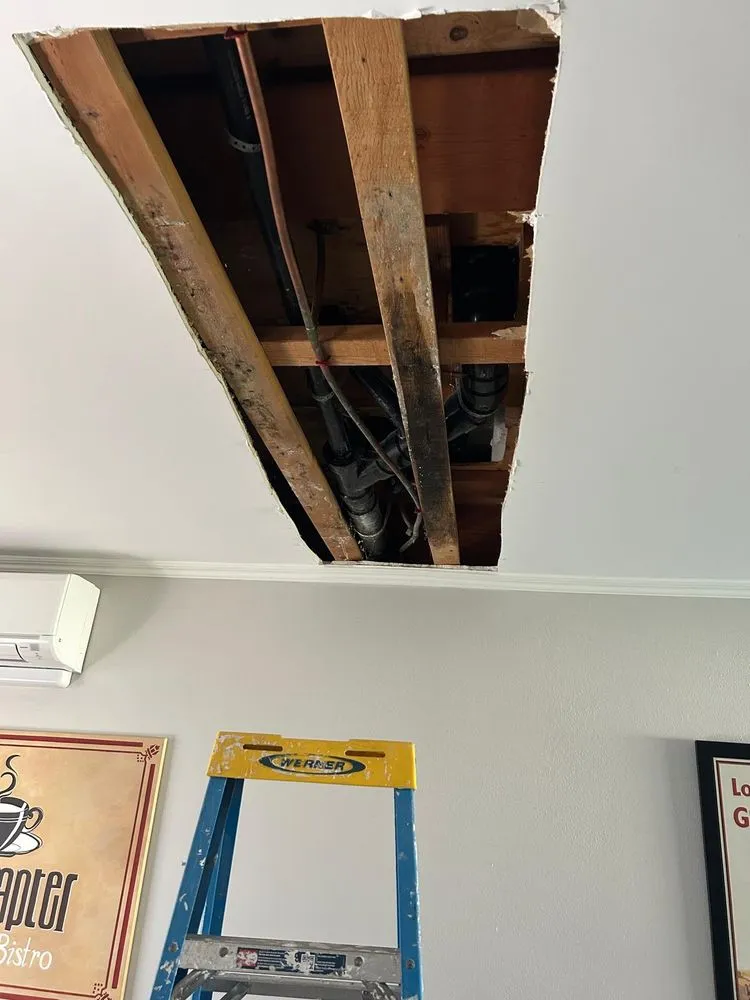 Professional landscaping services experts serving San Diego, CA - Gallego Services