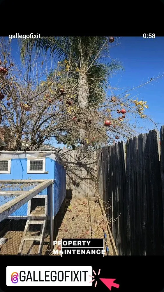 Local lawn mowing service for outdoor upgrades across San Diego, CA - Gallego Services