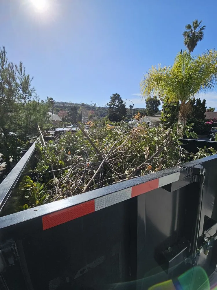 Trusted lawn care service experts serving San Diego, CA - Gallego Services