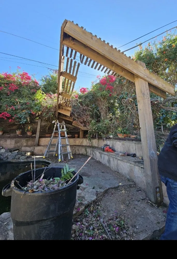 Local landscaping services experts serving San Diego, CA - Gallego Services