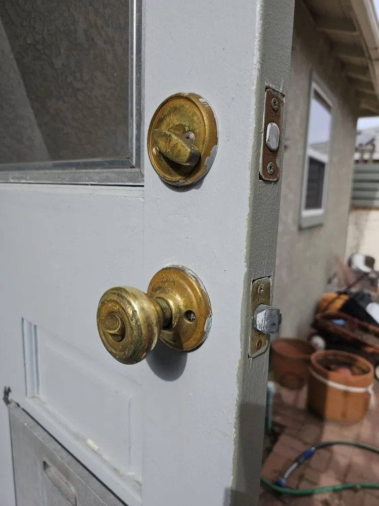 Local landscape installation in San Diego, CA by Gallego Services