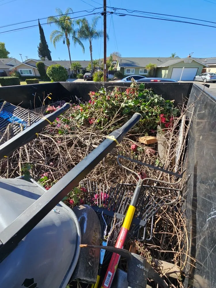 Professional lawn care service experts serving San Diego, CA - Gallego Services