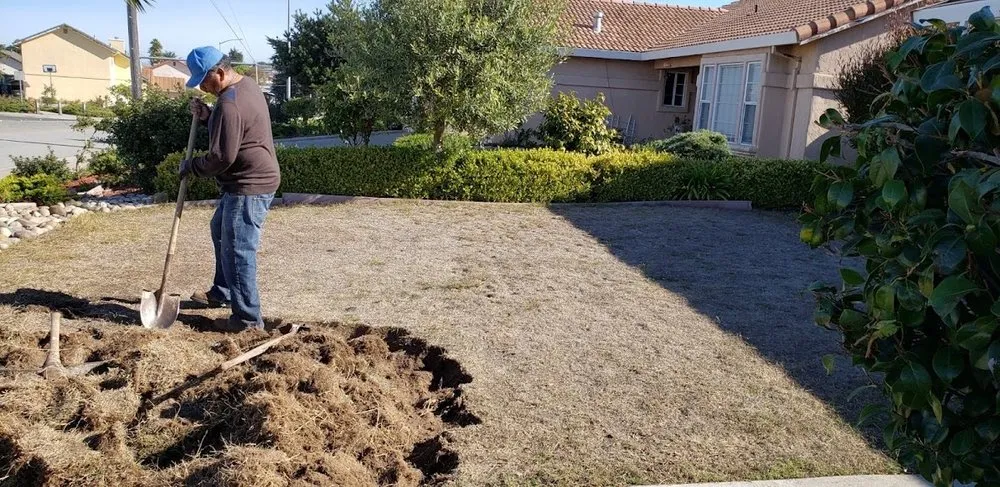 Top-rated residential landscaping experts serving Monterey, CA - Gallegos & Sons Landscaping