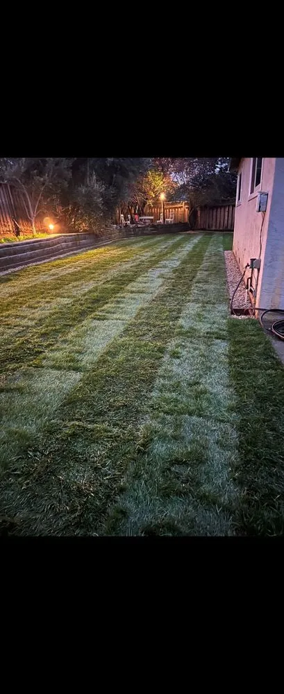 Professional landscape installation in Monterey, CA - Gallegos & Sons Landscaping