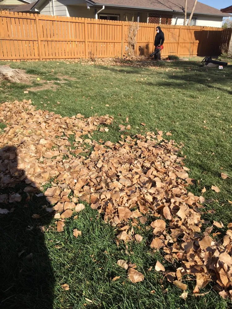 Expert landscape installation in Fort Collins, CO by Gallegos Landscape Group