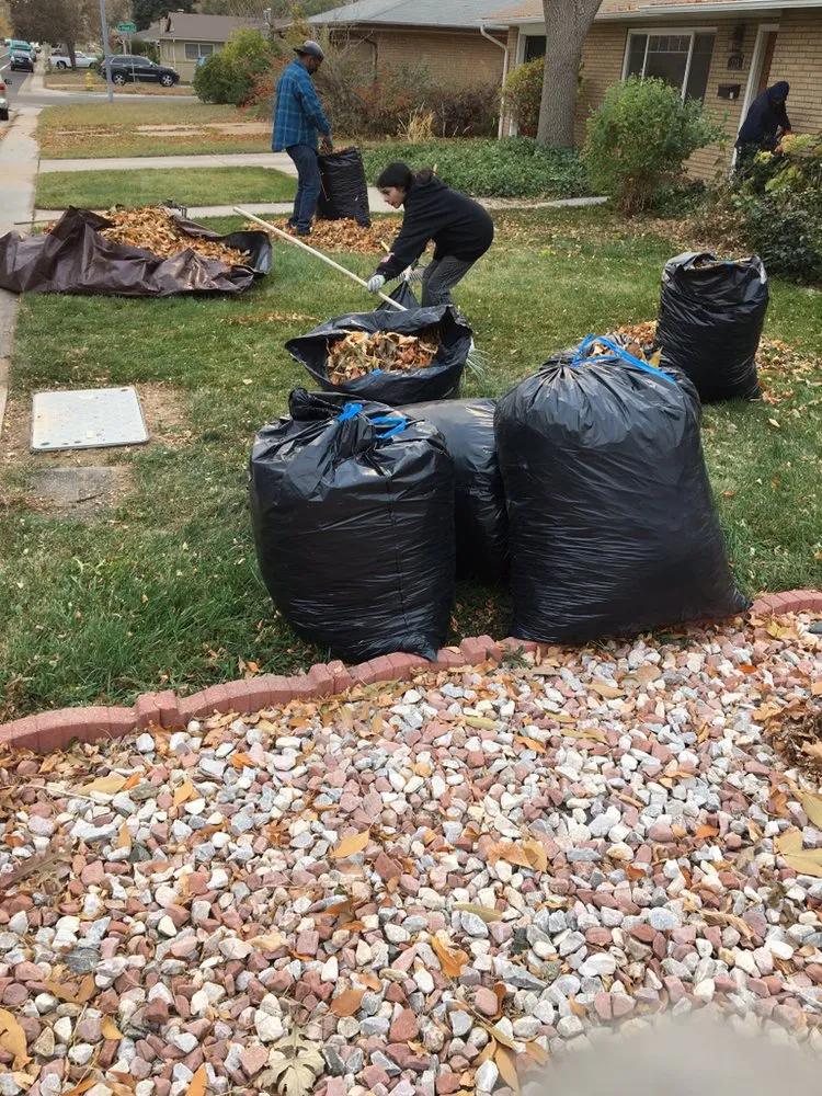 Trusted yard maintenance in Fort Collins, CO by Gallegos Landscape Group