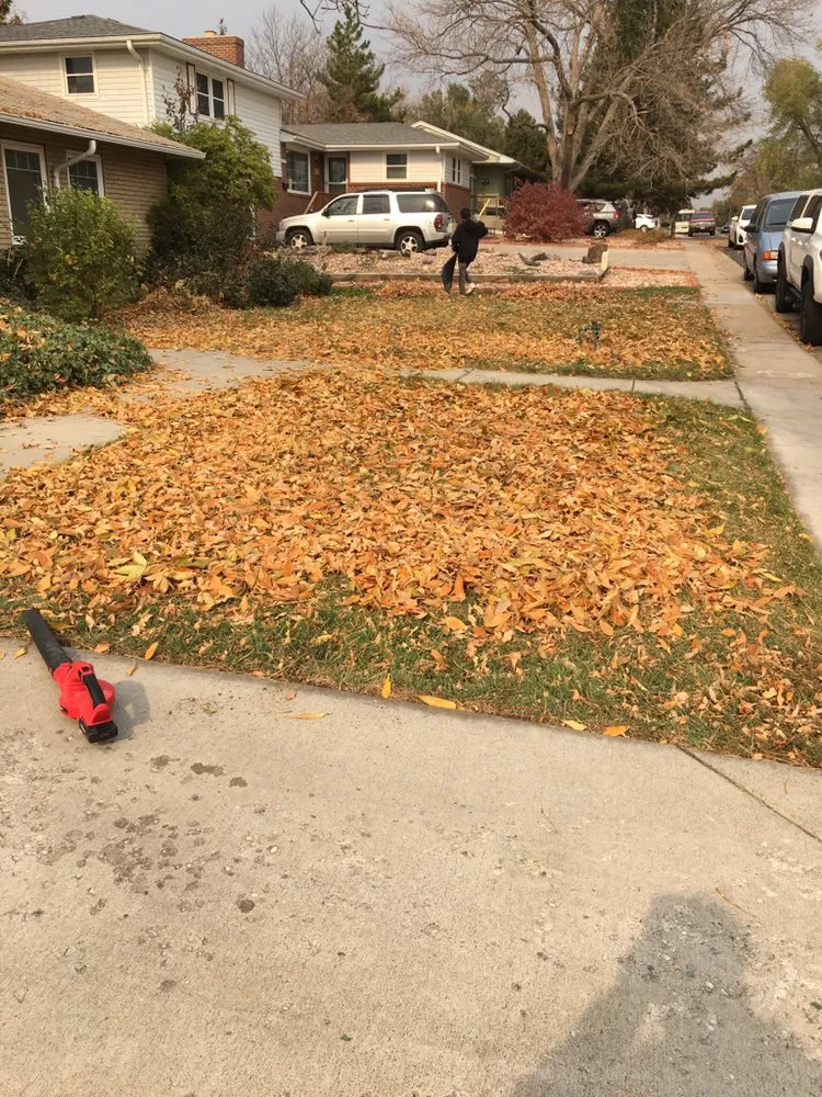 Affordable residential landscaping experts serving Fort Collins, CO - Gallegos Landscape Group