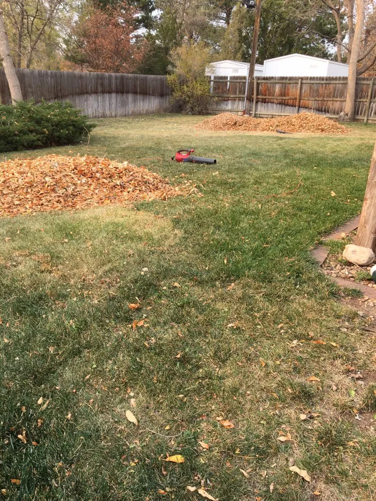 Trusted yard cleanup service for year-round maintenance in Fort Collins, CO by Gallegos Landscape Group