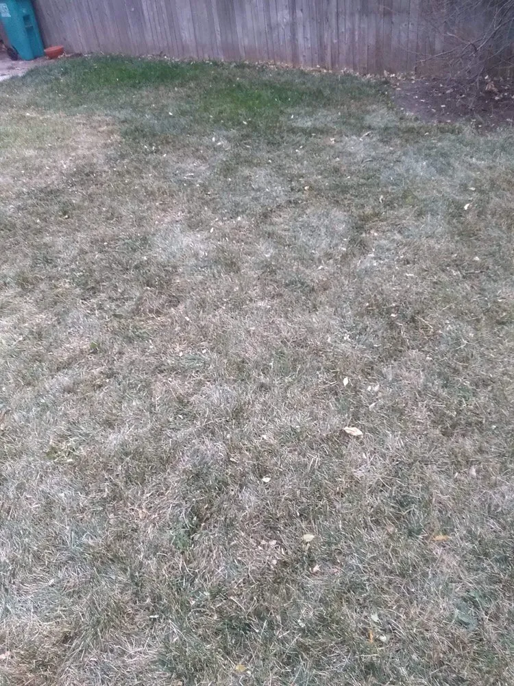 Custom outdoor landscaping in Fort Collins, CO by Gallegos Landscape Group