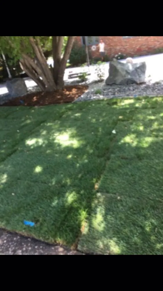 Top-rated landscape installation in Fort Collins, CO by Gallegos Landscape Group