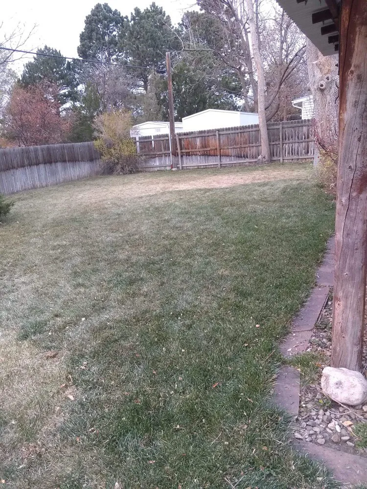 Trusted yard maintenance experts serving Fort Collins, CO - Gallegos Landscape Group