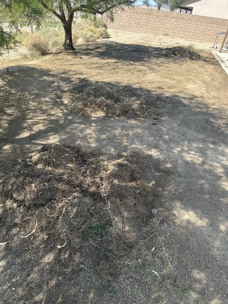 Trusted yard cleanup service in Apple Valley, CA by Gallegos Landscaping & Pool Service