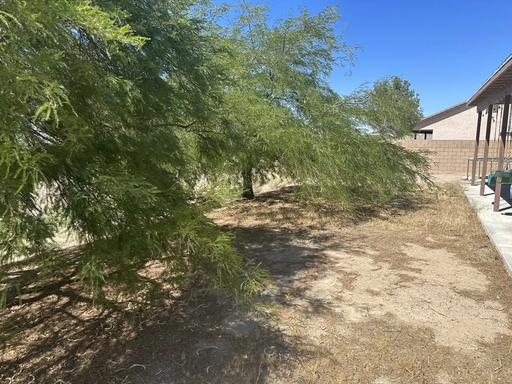 Professional lawn mowing service in Apple Valley, CA - Gallegos Landscaping & Pool Service