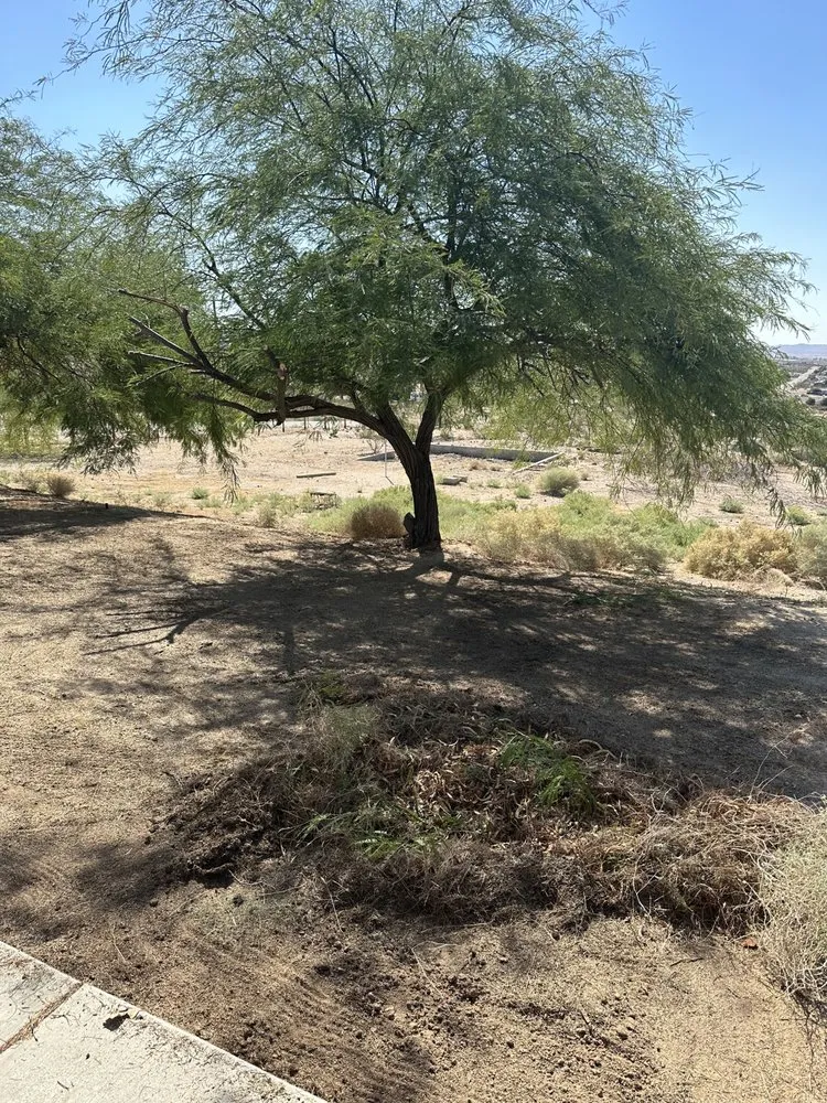 Trusted lawn mowing service in Apple Valley, CA by Gallegos Landscaping & Pool Service