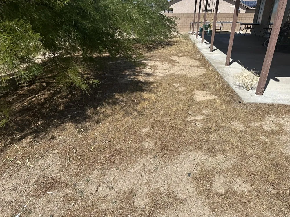 Expert garden landscaping experts serving Apple Valley, CA - Gallegos Landscaping & Pool Service