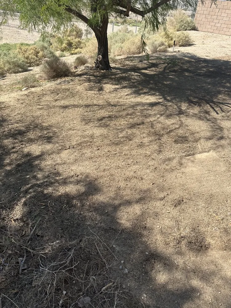 Reliable landscaping services in Apple Valley, CA by Gallegos Landscaping & Pool Service