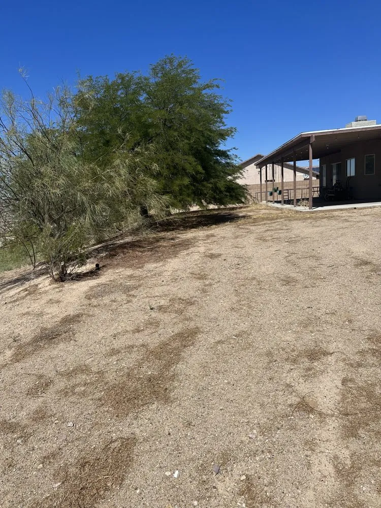 Expert yard cleanup service near you across Apple Valley, CA - Gallegos Landscaping & Pool Service