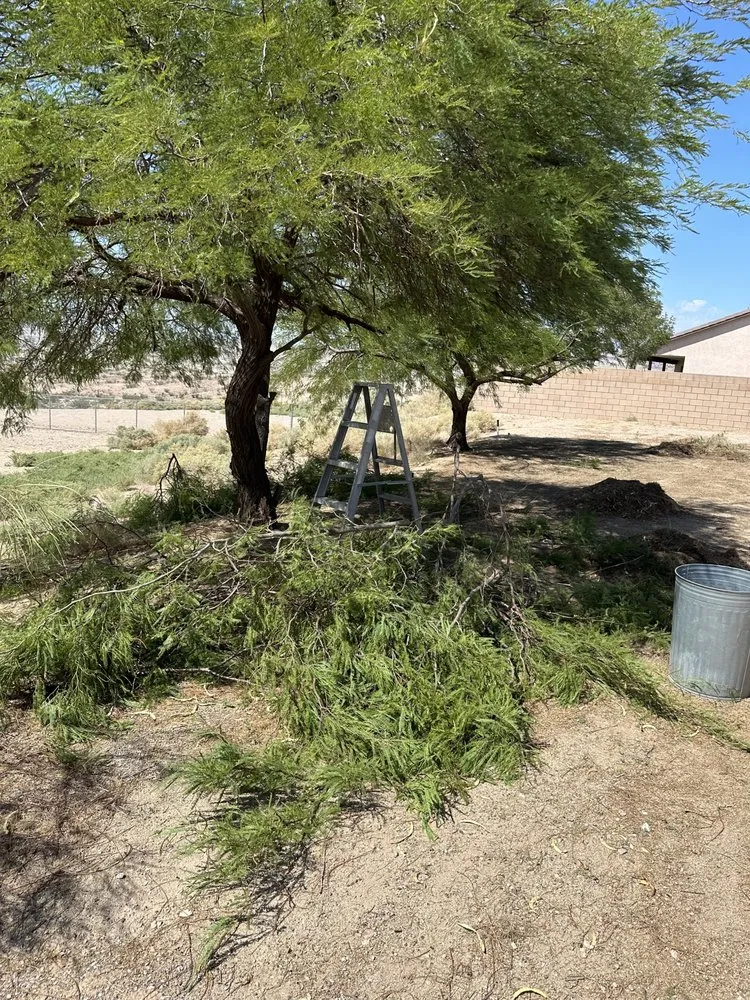 Trusted landscape installation in Apple Valley, CA - Gallegos Landscaping & Pool Service