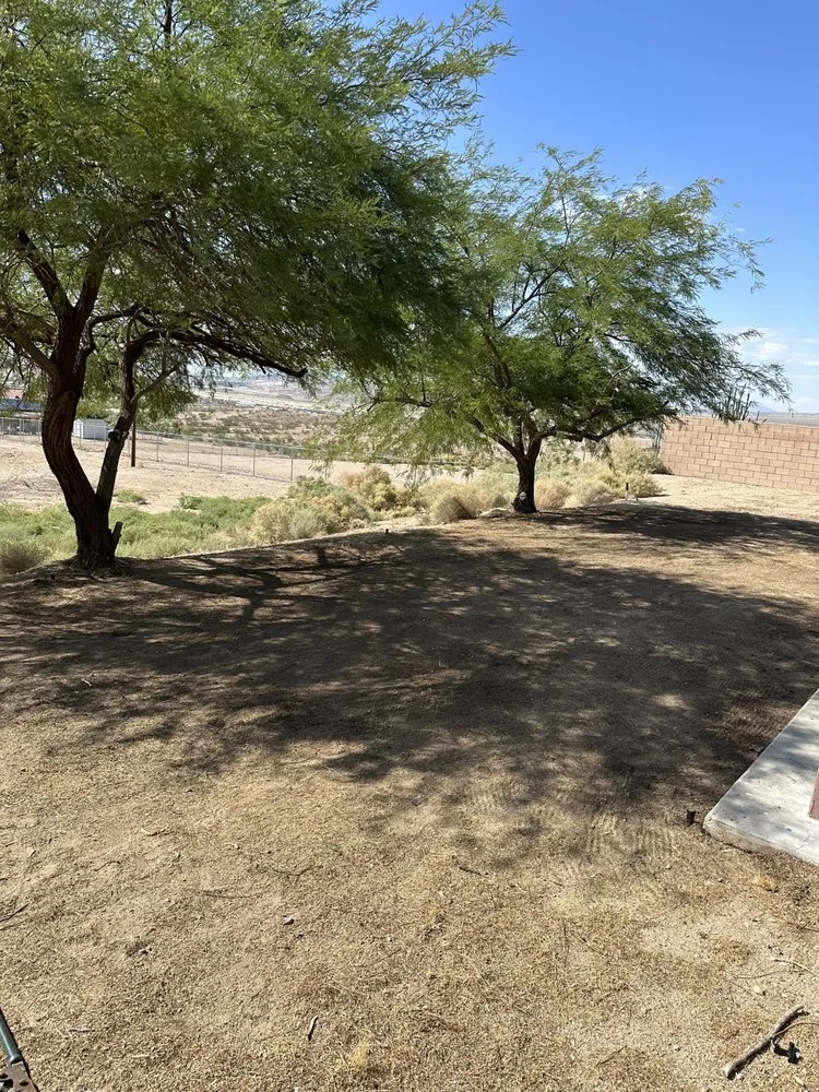 Trusted landscape installation in Apple Valley, CA by Gallegos Landscaping & Pool Service
