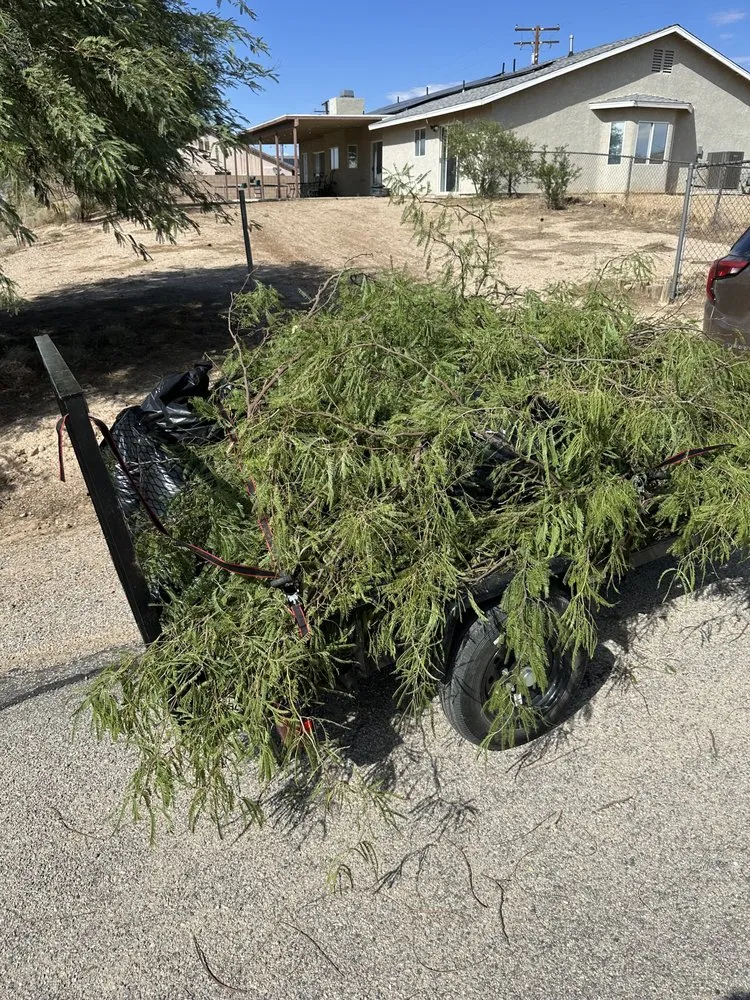 Trusted lawn care service experts serving Apple Valley, CA - Gallegos Landscaping & Pool Service