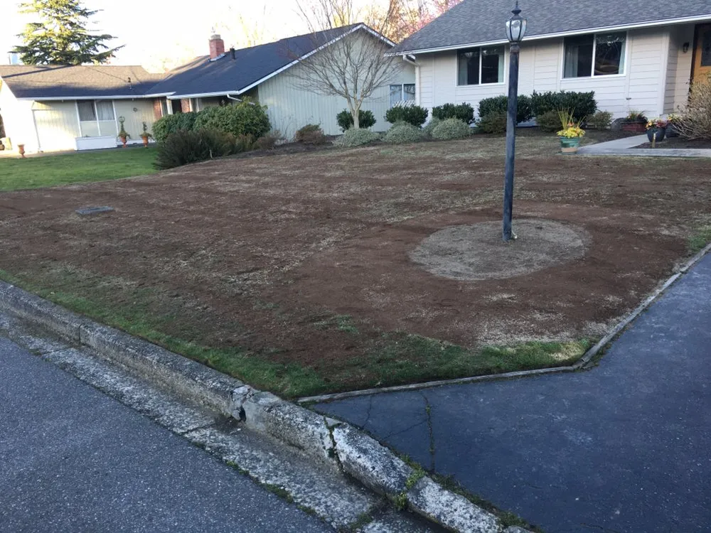 Professional yard cleanup service in Kent, WA by Gallegos Landscaping
