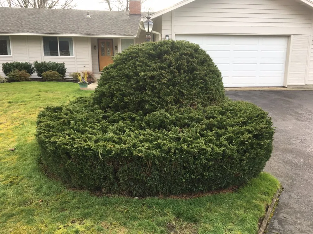 Local outdoor landscaping in Kent, WA by Gallegos Landscaping