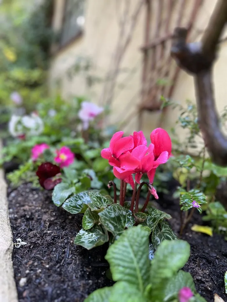 Top-rated lawn mowing service for beautiful yards across Beverly Hills, CA - Gallo Greens