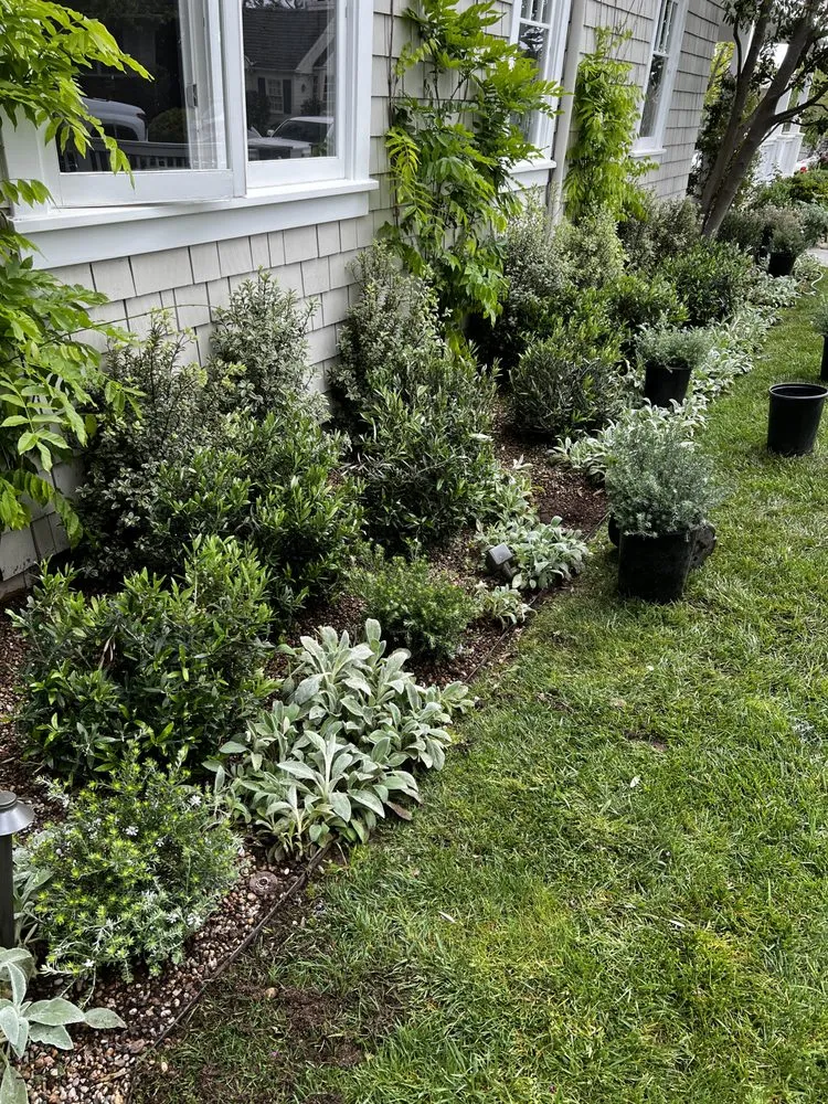 Reliable outdoor landscaping experts serving Beverly Hills, CA - Gallo Greens