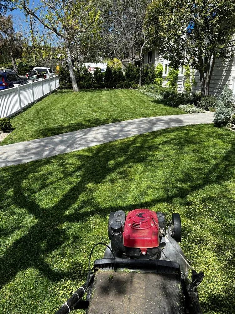 Trusted lawn mowing service in Beverly Hills, CA - Gallo Greens