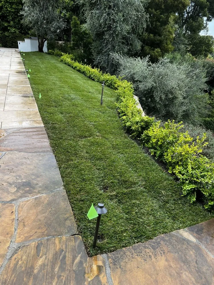 Affordable lawn mowing service in Beverly Hills, CA - Gallo Greens