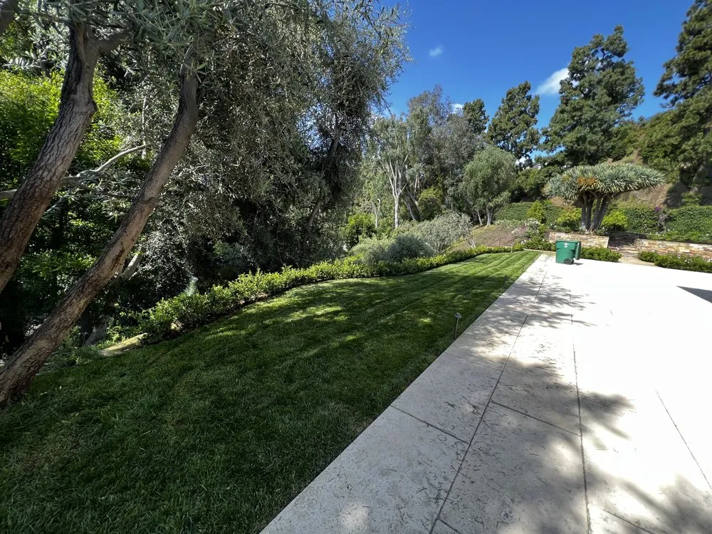 Local residential landscaping experts serving Beverly Hills, CA - Gallo Greens