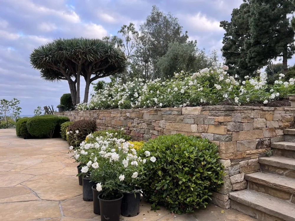 Expert lawn mowing service experts serving Beverly Hills, CA - Gallo Greens